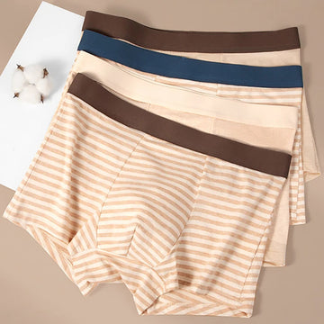 内衣男3PCS/Pack Natural 100% Cotton Striped Antibacterial Boxers Man Breathable Mesh Crotch Underpants Soft High Elastic Men's Panties