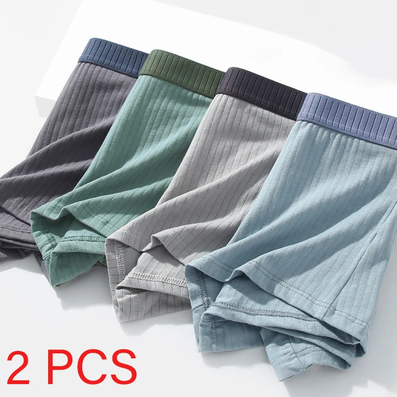 内衣男2 Pcs/Lot Men's Cotton Stripe Boxers Briefs Plus Size L-4XL Sexy Shorts Character Panties Men Underwear Underpants