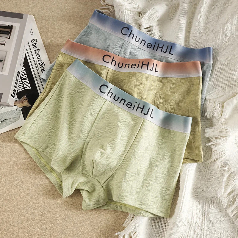 内衣男3PCS/Pack Cotton Solid Plaid Men's Panties Fashion Icon Charming Gradient Waistband Underpants Soft Breathable Boxer Underwear