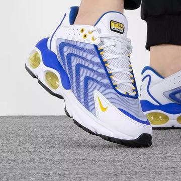 Nike Running shoes Men's shoes AIR MAX TW Men's air cushion cushioned sports shoes Training jogging shoes DQ3984-100