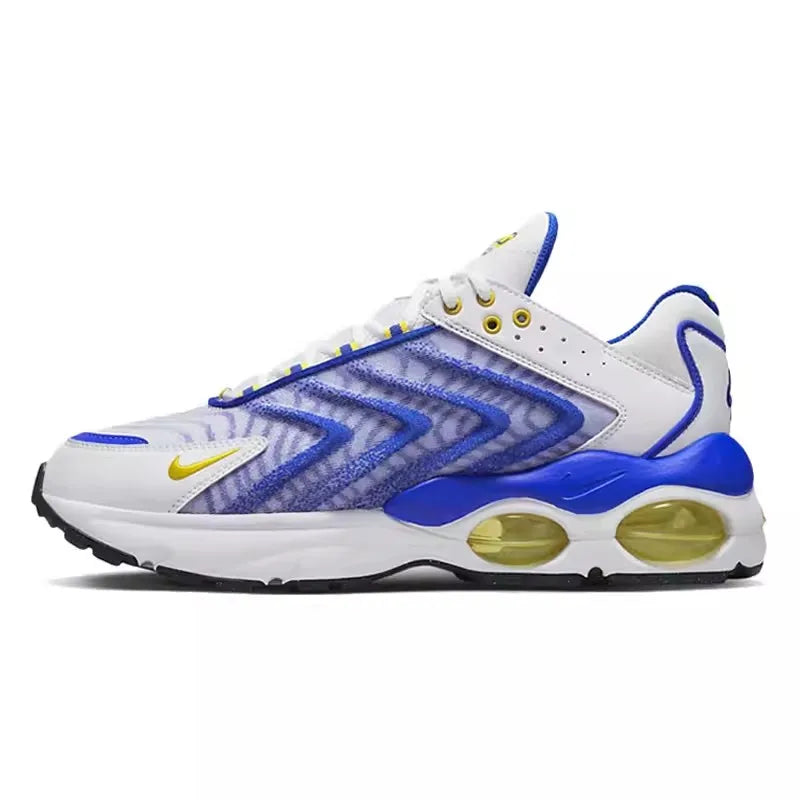 Nike Running shoes Men's shoes AIR MAX TW Men's air cushion cushioned sports shoes Training jogging shoes DQ3984-100